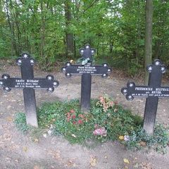 Godzikowo, żeliwne krzyże na cmentarzu rodowym - 27.09.2008r.