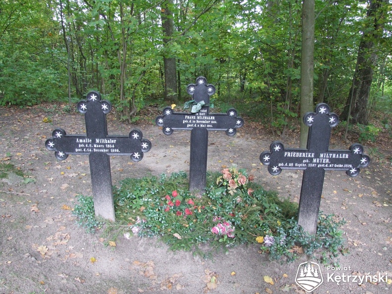 Godzikowo, żeliwne krzyże na cmentarzu rodowym - 27.09.2008r.