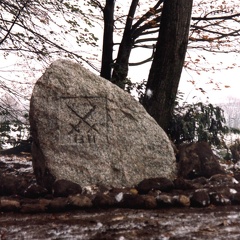 Góry, ustawiony kamień upamiętniający bitwę krzyżacko-litewską w 1311r. - 25.10.2003r 